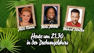 Die große BILDDschungelshow im LiveStream  26012016 [upl. by Kissner633]