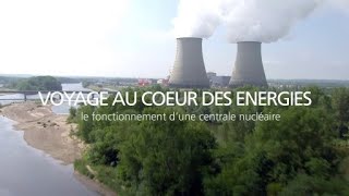 Comment la fission de luranium permet le fonctionnement dune centrale nucléaire  EDF [upl. by Rotow]