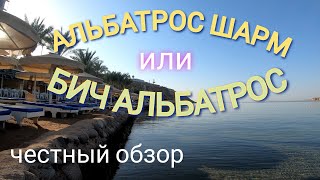 ALBATROS SHARM RESORT EX BEACH ALBATROS обзор отеля [upl. by Nirak]