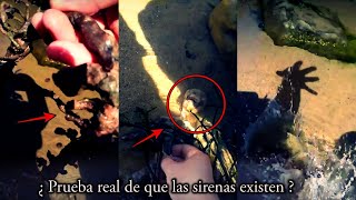 ¿EXISTEN LAS SIRENAS ENCUENTRAN CADAVER DE UNA SIRENA EN UNA PLAYA  SIRENA REAL [upl. by Zanlog]