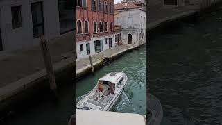 A view from the bridge over the canal in Venice near Ca Foscari University A little garden [upl. by Llerrom]