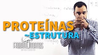 Proteínas  estrutura  Fabiano Matos Biologia [upl. by Polivy]