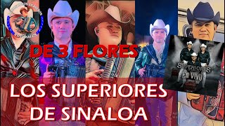 De 3 FloresLos Superiores de Sinaloa TUTORIAL en Acordeon de SOL [upl. by Axela68]