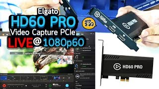 Review Elgato HD60 Pro รีวิว Live สดจากกล้องและสตรีมเกม 1080p60 แบบเสถียรๆ ต่อติดทุกครั้ง [upl. by Eiramanitsirhc]