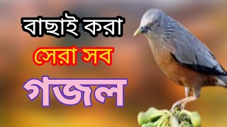 Bengali Islamic naat  amazing Islamic song  ইসলামিক সেরা গজল  bangla new gojol  New gojol [upl. by Okin]