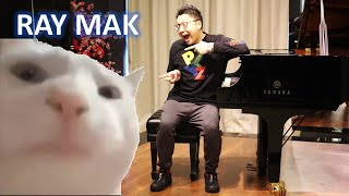 Vibing Cat Ievan Polkka Piano by Ray Mak [upl. by Brittani173]