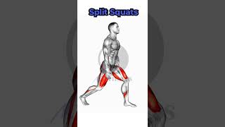 How to GROW your QUADS Fast at Home Workout [upl. by Searle451]