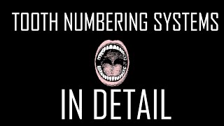 3 Tooth Numbering Systems [upl. by Ellenar]