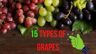 THE 15 BEST TYPES OF GRAPES [upl. by Ahsataj]