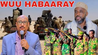 DEGDEG FAYSAL CALI WARAABE HABAARAY GARAAD JAAMAC YIRI DHULBAHANTE WAA NAGA ADKAADAYOOHIN CABAADAY [upl. by Hoskinson]