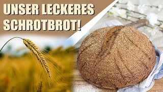 UNSER ERSTES SCHROT – BROT SO GOOD  Kenwood Mühle  Anleitung [upl. by Sachsse]