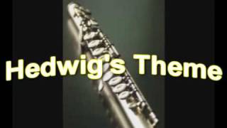 Harry Potter  Hedwigs Theme  Flute and Keyboard [upl. by Tracay466]