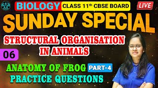 CBSE BOARD  CLASS 11TH BIOLOGY  STRUCTUAL ORGANISATION IN ANIMALS  LEC06  A K EDUCATION [upl. by Haron]