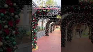 Chijmes The ultimate Christmas spot in Singapore 🇸🇬 christmas merrychristmas [upl. by Dnaltroc]