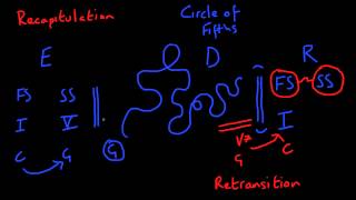 Sonata Form  The Recapitulation [upl. by Esinel456]