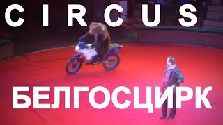 Белорусский государственный цирк в Минске Circus Belarus [upl. by Stafford688]