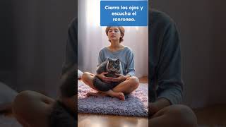 ¿Sabías que Puedes Meditar con tu Gato ¡Su Ronroneo es un Misterio de la Ciencia 🐱🧘‍♂️ gatos [upl. by Ong]