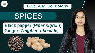 Economic Botany  SPICES  B Sc amp M Sc [upl. by Yahc699]