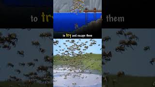 The Guide Tried To Escape The Bees 🐝 w zackdfilms terraria [upl. by Eatnuahc]