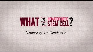 What is a hematopoietic stem cell Narrated by Dr Connie Eaves [upl. by Rafaellle]