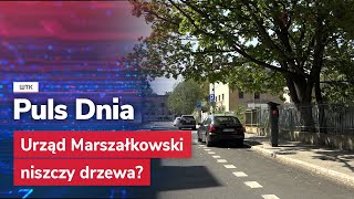 Zniszczone drzewa w centrum Poznania Jest kontrola inwestycji Urzędu Marszałkowskiego [upl. by Wainwright91]