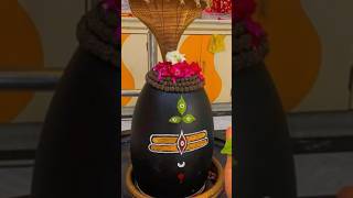 🤗Mahadev status video😍 bholenath status video Mahakal status short viralvideo mahadevbholenath [upl. by Neelat]