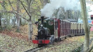 Bickington Steam Railway Trago Mills  November 2016  Alice slips up [upl. by Iaverne]