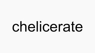 How to pronounce chelicerate [upl. by Brie]