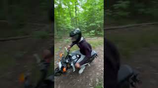 Honda Grom’n on private property hondagrom grom automobile motorcycle [upl. by Concettina]