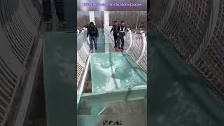 Glass bridge worker facts experiment science scienceexperiments physics shorts bengali [upl. by Aihsenor]