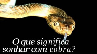 Significado dos Sonhos Cachimbo e Cobra [upl. by Napier]