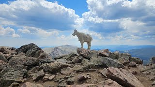 Mount Bierstadt 14065 [upl. by Georgine]