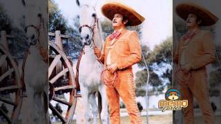 Antonio Aguilar Con Tambora Corridos De Caballos Famosos Memo Cortes [upl. by Obellia]