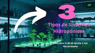 Tipos de Sistemas Hidropónicos [upl. by Aihsyla277]