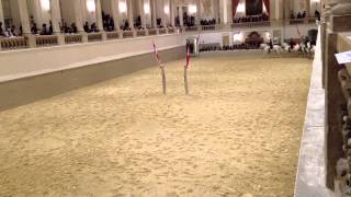 Spanische Reitschule Wien Video 3 [upl. by Phipps]