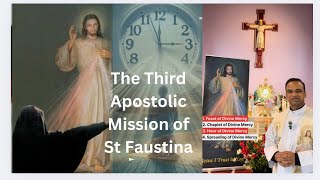 The Third Apostolic Mission of St Faustina [upl. by Nidraj174]