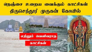 Tiruchendur Murugan Temple  Unseen Rare Video [upl. by Nance]