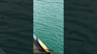 FISHING WITH THE SPRO MCSTICK BassProShops RangerBoats FishGarmin SPRO SPROUSA SPROFishing [upl. by Yecac]