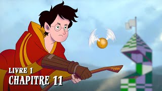 HARRY POTTER  Livre 1  Chapitre 11  LE MATCH DE QUIDDITCH [upl. by Ioab192]