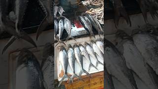 vanagaram fish market food fishing viralshorts trendingshorts karancviews karanchellappa 😊💐 [upl. by Otokam]