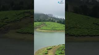 Meghalaya tour package  Meghalaya tour plan  Meghalaya tour guide  Meghalaya tourism video viral [upl. by Trueman]