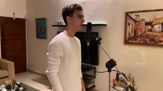 Falta Amor  Sebastián Yatra Ricky Martin  Lyse cover [upl. by Troc341]