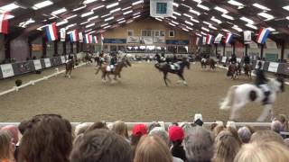 NK Carrousel 2017  Proef Hillegersberg B Team [upl. by Neelloc]