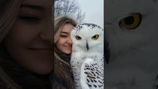 Embrace of the Snowy Owl shorts owl pets [upl. by Mcwilliams]