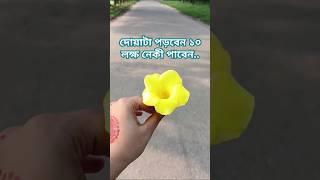 এই দোয়াটা পড়বেন।trending ytshorts quran islamicgojolislamic motivation mijanurrahmanajhari [upl. by Jelene]