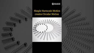 Understanding Simple Harmonic Motion in 60 Seconds scinece physics harmonicmotion [upl. by Niattirb]