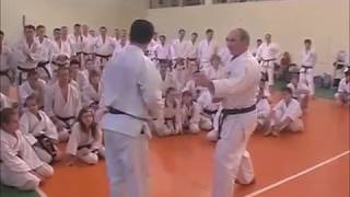 Kizami Mawashi Geri Kagawa Sensei [upl. by Idalina]