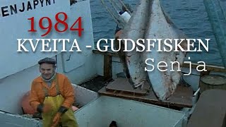 Kveita  Gudsfisken Kveitefiske vest av Senja 1984 [upl. by Aselehc527]