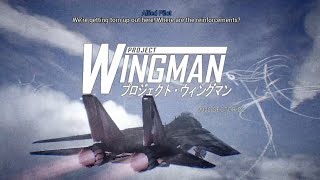 Project Wingman Full Playthrough Mercenary Difficulty Two Seats No Commentary [upl. by Nairim]