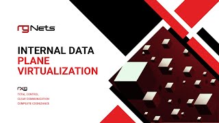 rXg Internal Data Plane Virtualization [upl. by Hollah]